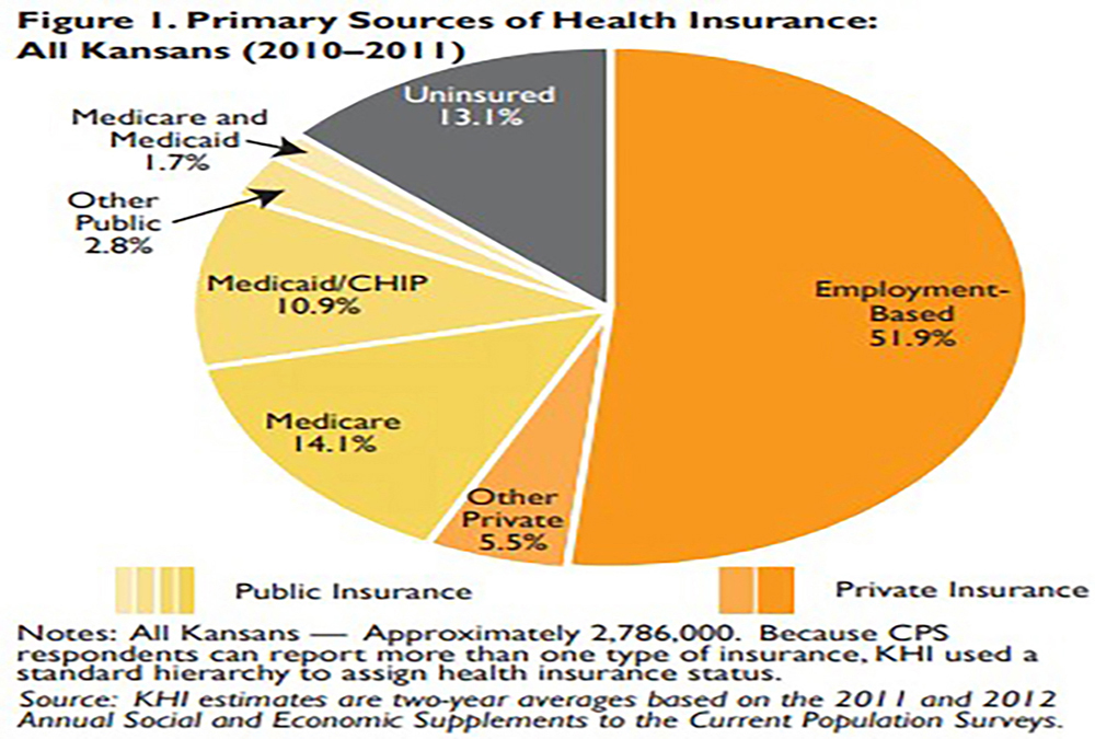 Pie chart showing primary sources of health insurance. Employment-based insurance was 51.9%.