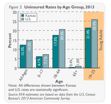 Bar chart showing uninsured rates by age group 2013 refer to the data on this page for specific details.