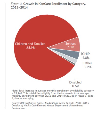 Figure 3: Pie chart - Growth in KanCare enrollment by category