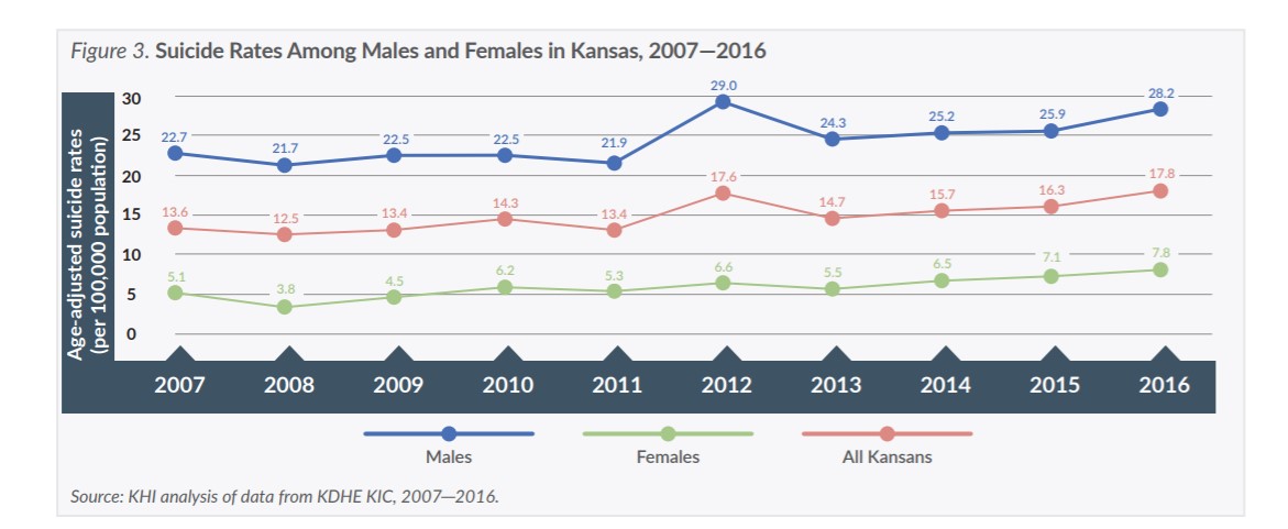 Figure 3: Suicide rates among males and females in Kansas