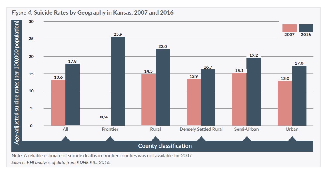 Figure 4: Suicide rates by geography in Kansas
