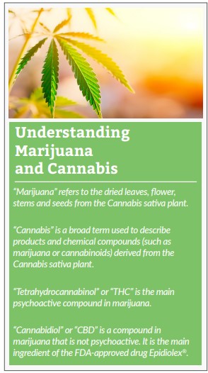 Graphic quotes Understanding marijuana and cannabis