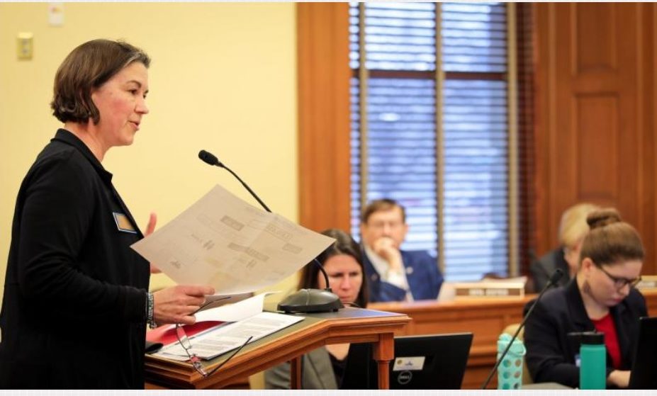 Kari Bruffett provided an overview to the Senate Public Health and Welfare Committee.