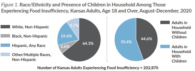 Figure 1 Race/Ethnicity and presence of children in household experiencing food insufficiency