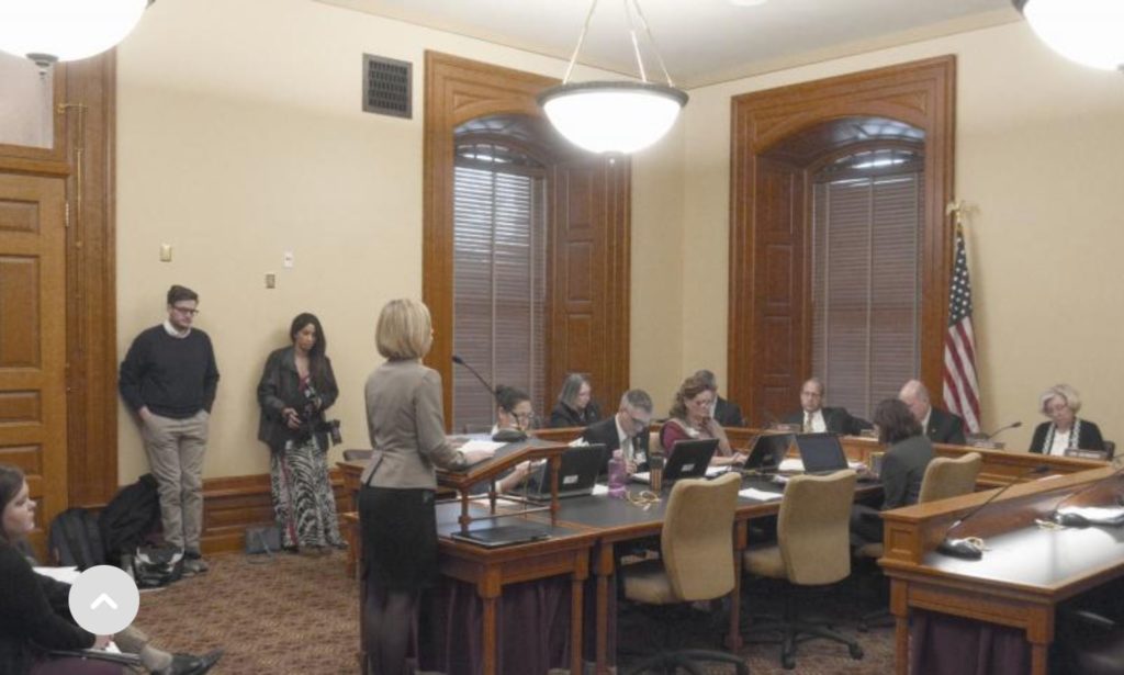 Tatiana Lin, senior analyst and strategy team leader, presented neutral testimony to the Senate Committee on Corrections and Juvenile Justice for House Bill 2049.