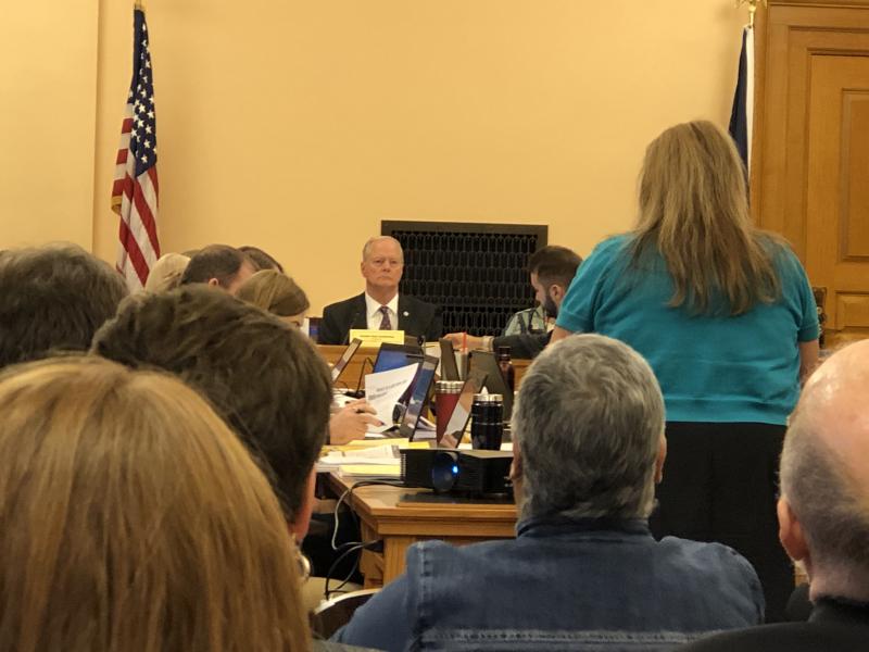 Linda J. Sheppard, J.D., Senior Analyst & Strategy Team Leader, provided an overview of Section 1332 Waivers for State Innovation to the Senate Select Committee on Healthcare Access.