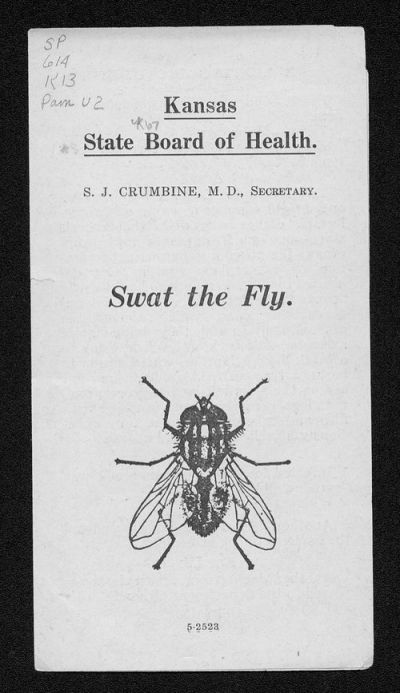 Swat the Fly Brochure