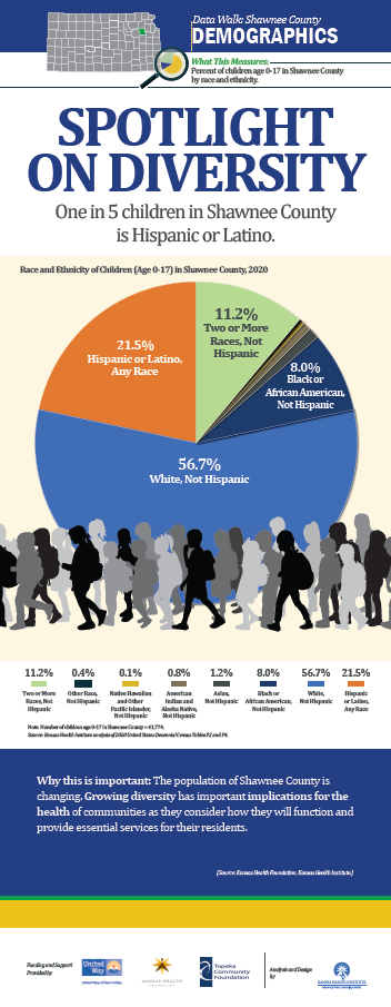 Screenshot of poster on Demographics and Diversity.