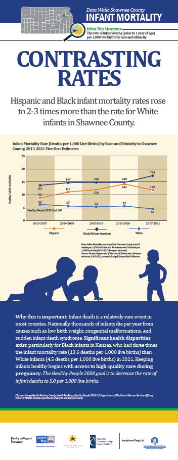 Screenshot of Poster on Infant Mortality